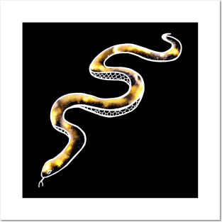 Golden galaxy Snake Posters and Art